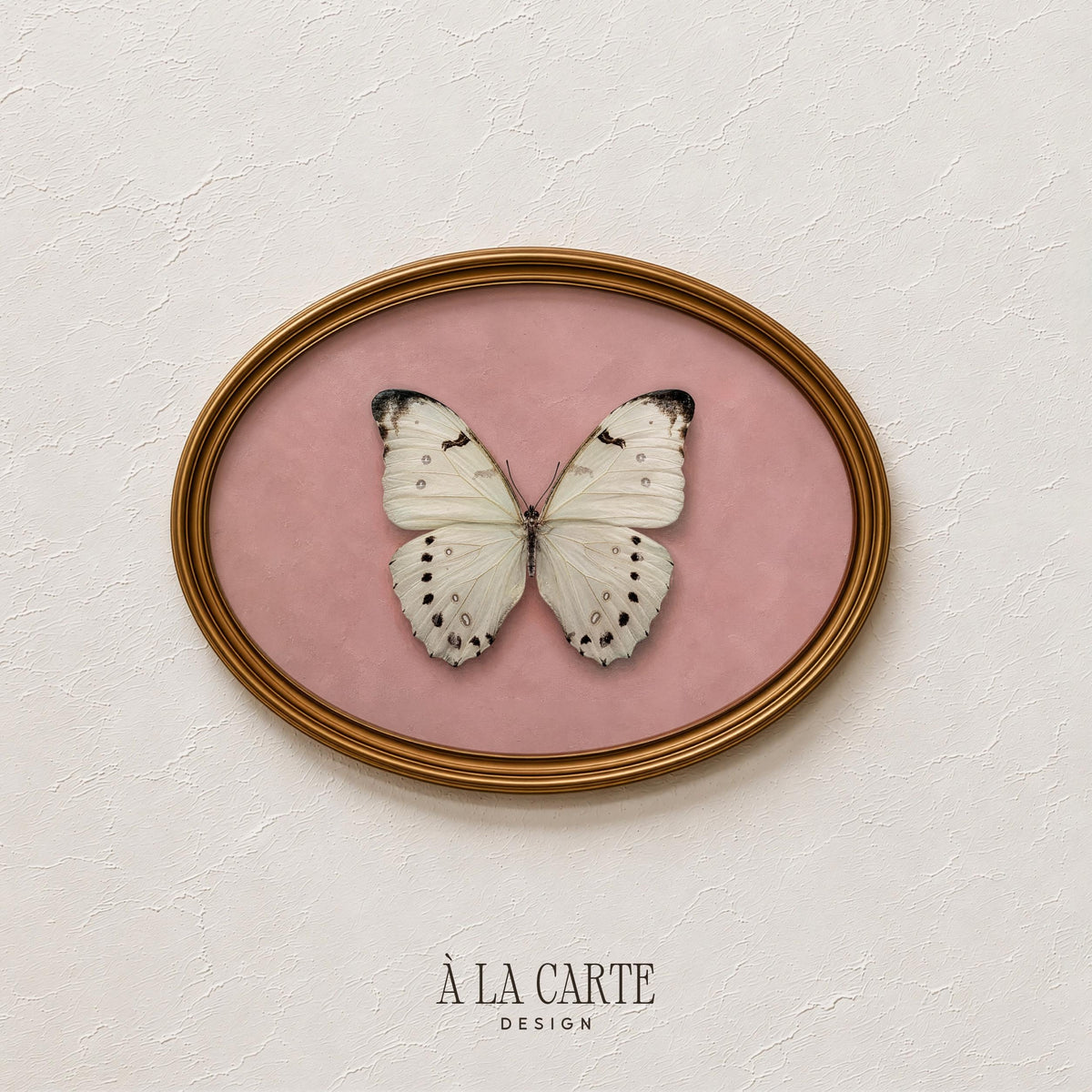 Symmetrical butterfly digital print featuring soft romantic aesthetic — farmhouse-inspired nature wall decor