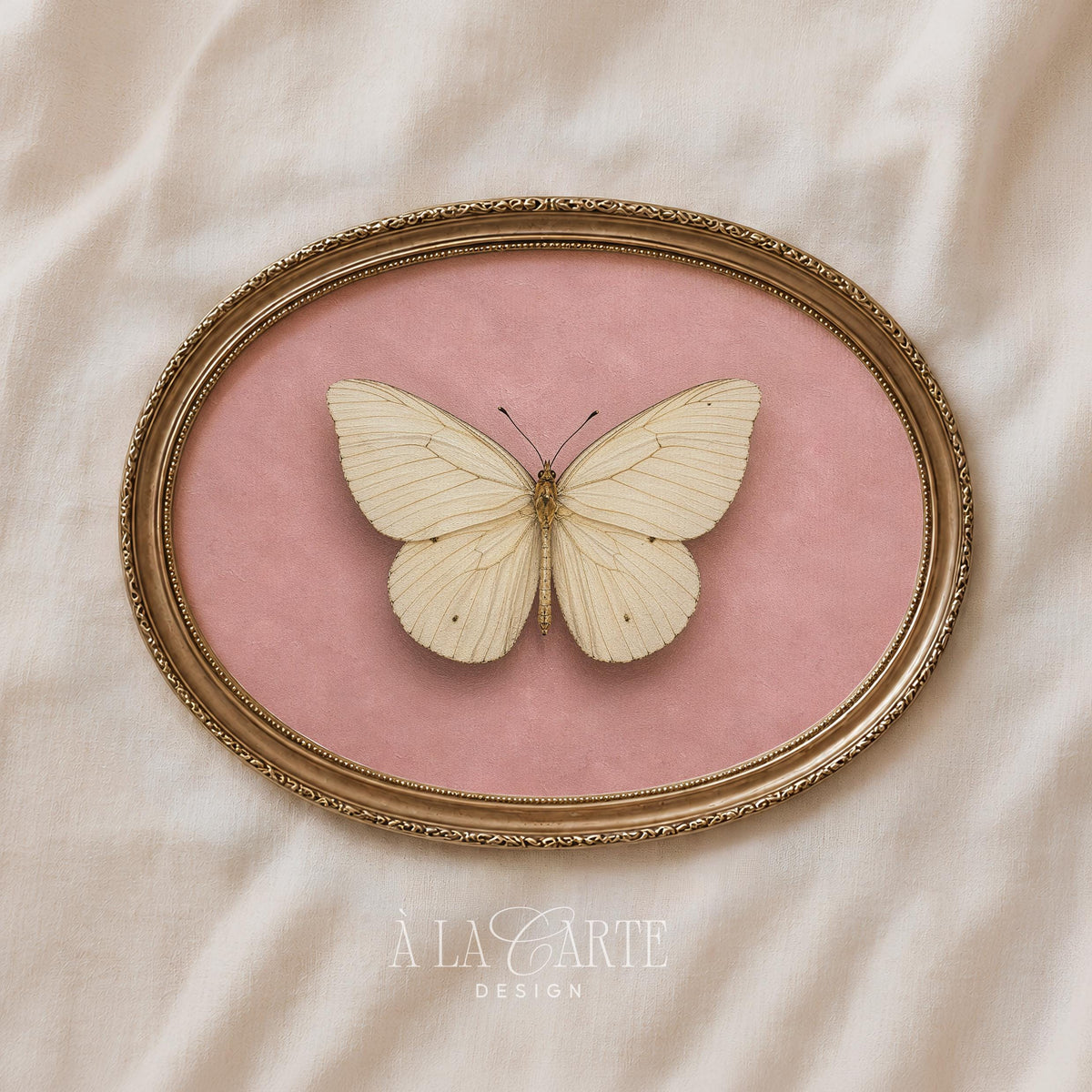 Vintage insect wall art printable download — pale blush toned botanical illustration with romance