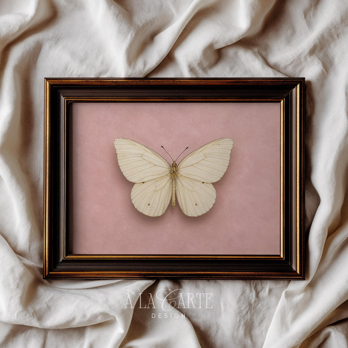 Cottagecore butterfly digital print for gallery wall — soft romantic mood with textured blush tones