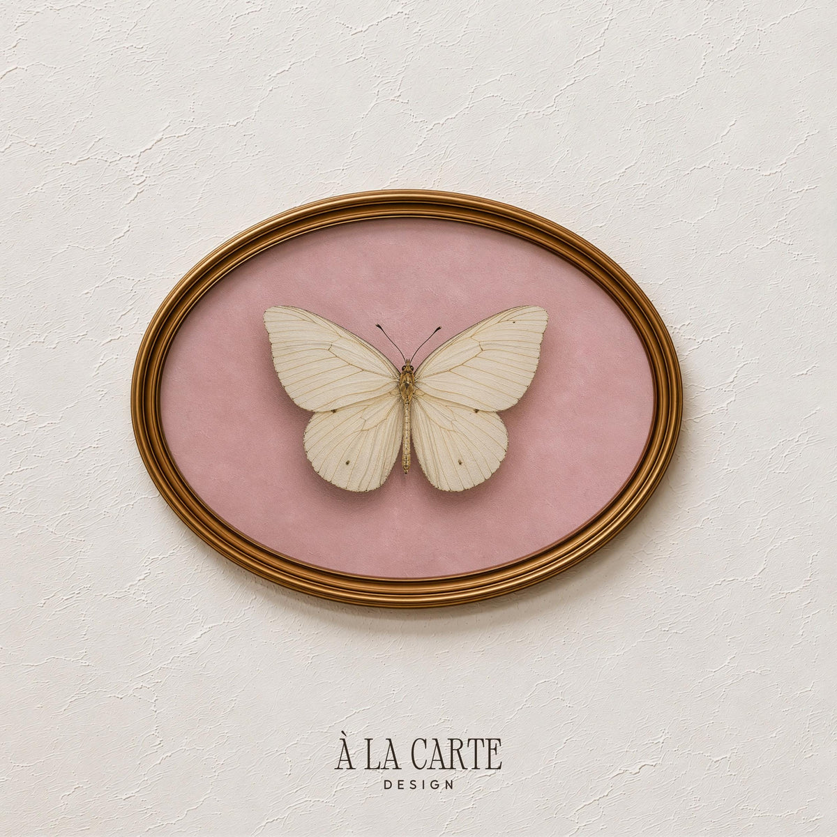 Delicate butterfly picture for bathroom — soft feminine aesthetic with botanical naturalism charm