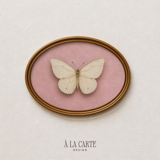 Delicate butterfly picture for bathroom — soft feminine aesthetic with botanical naturalism charm