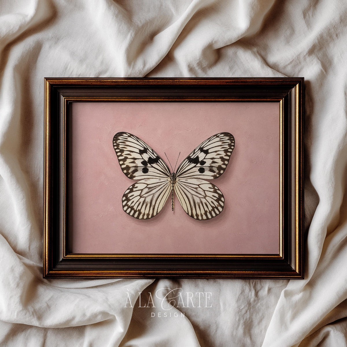 Delicate butterfly picture for girl's bedroom — vintage-inspired art with bold markings on blush canvas