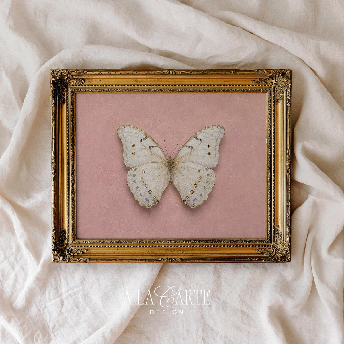 Vintage butterfly wall picture instant download — symmetrical specimen with ornate gold details on textured aged background