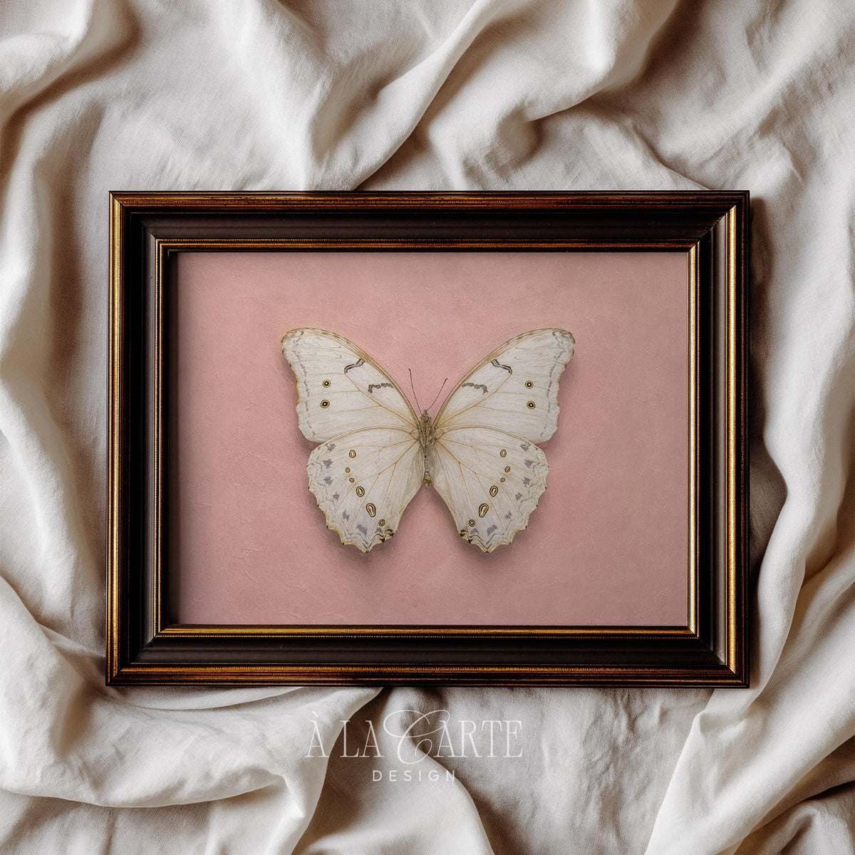 Delicate butterfly poster for girl's room — romantic cottagecore aesthetic with soft peachy textured canvas