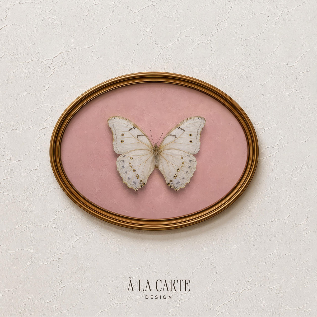 Symmetrical butterfly wall art for baby girl nursery — dreamy botanical specimen study with aged paper look