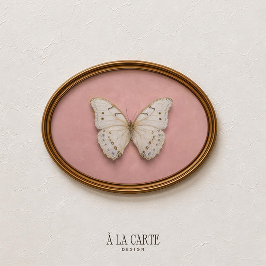 Symmetrical butterfly wall art for baby girl nursery — dreamy botanical specimen study with aged paper look