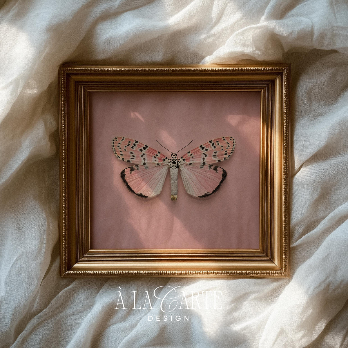 Delicate winged insect digital print for gallery wall — romantic naturalist style with dotted pattern artwork