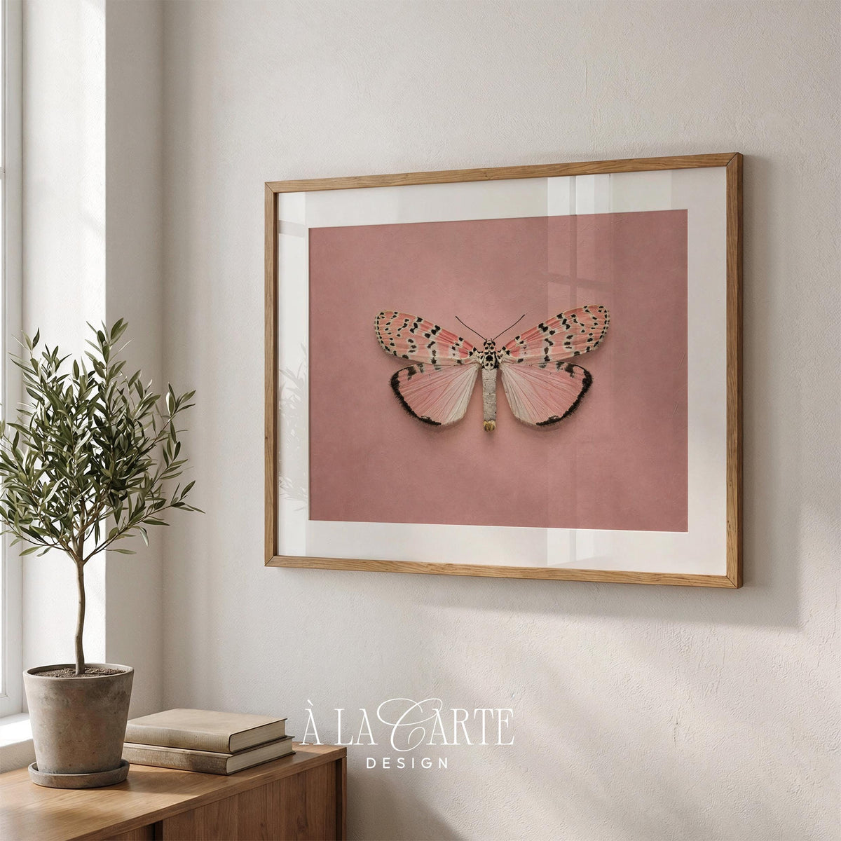 Collectible winged insect instant download art — feminine printable poster with antique specimen illustration style