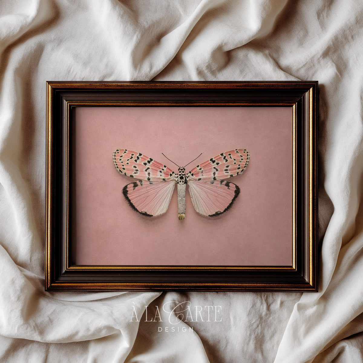 Symmetrical moth artwork featuring intricate wing patterns — romantic cottagecore poster in blush and cream tones