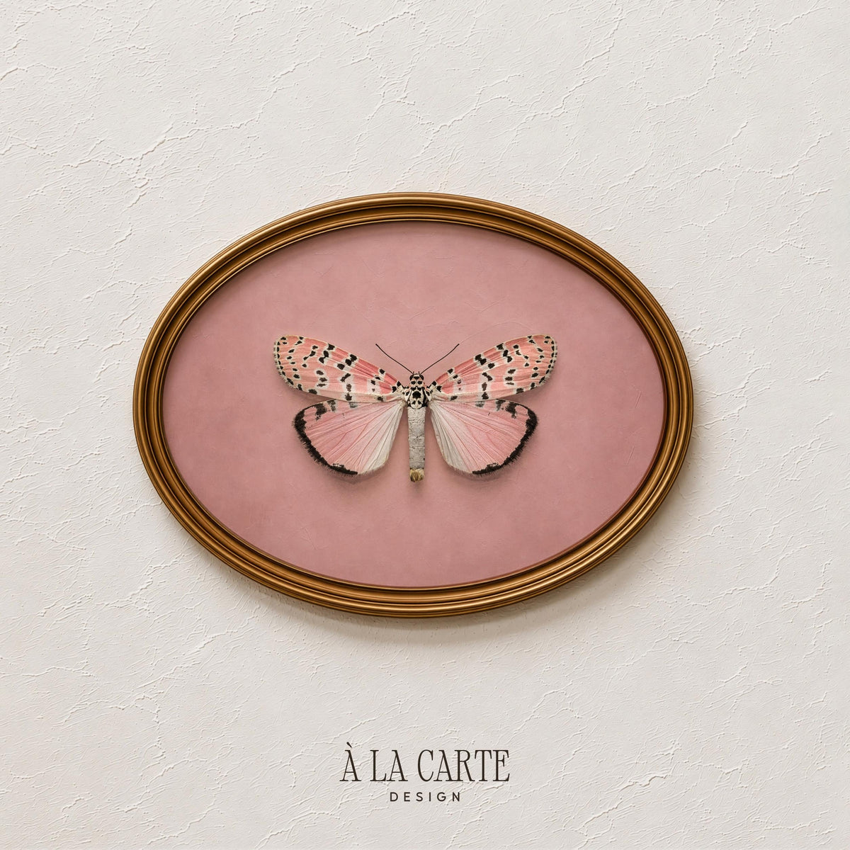 Romantic butterfly illustration digital print for entryway — delicate vintage-inspired wings with intricate dotted patterning