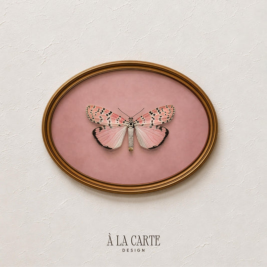 Romantic butterfly illustration digital print for entryway — delicate vintage-inspired wings with intricate dotted patterning