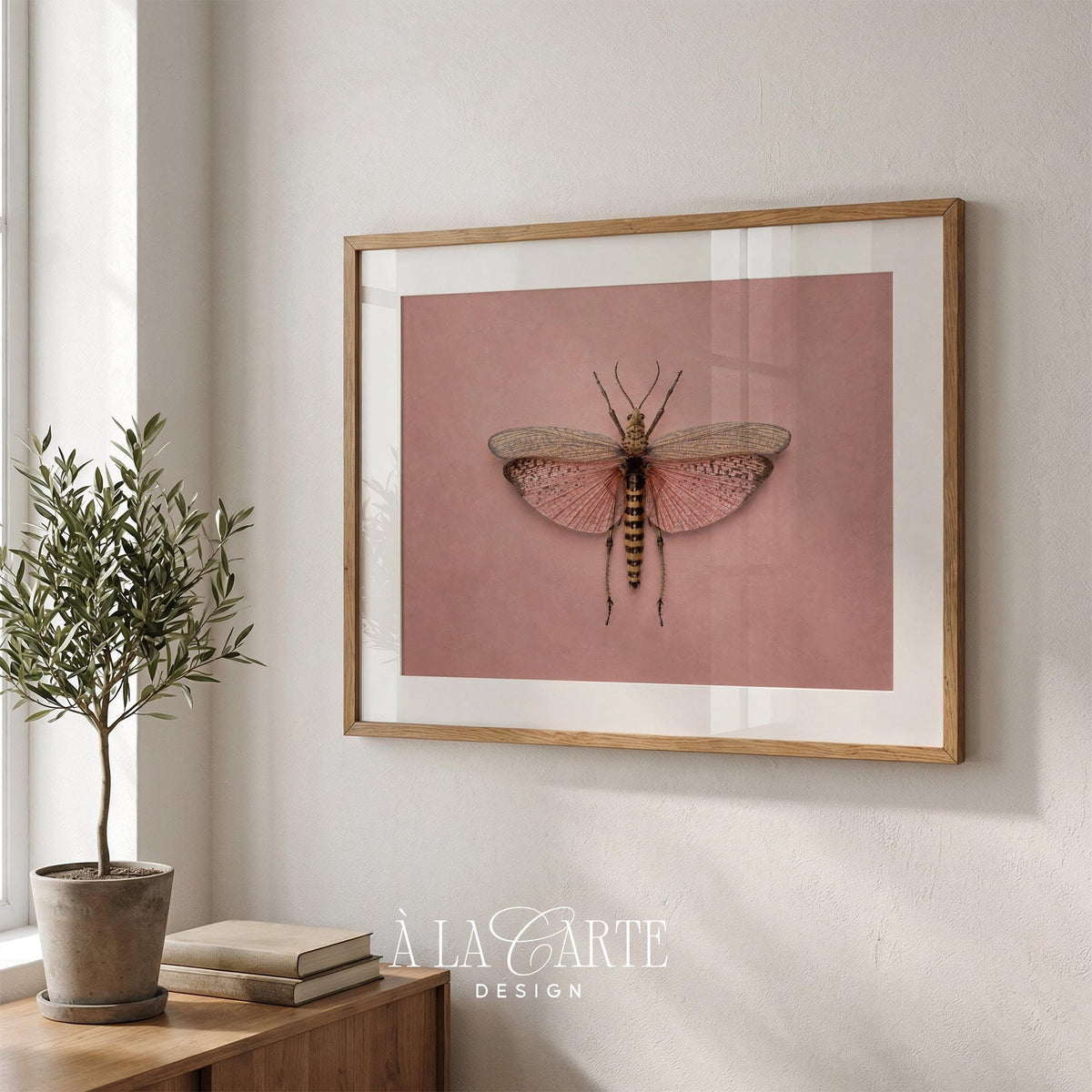 Winged insect digital art print for feminine décor — vintage naturalist plate with delicate translucent details