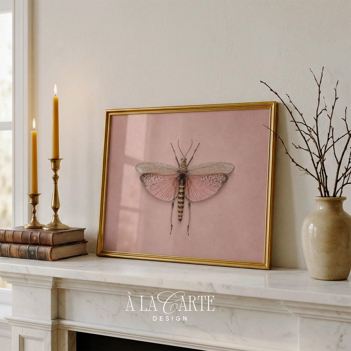 Butterfly species picture for study — fine art print featuring symmetrical pose and blush tones