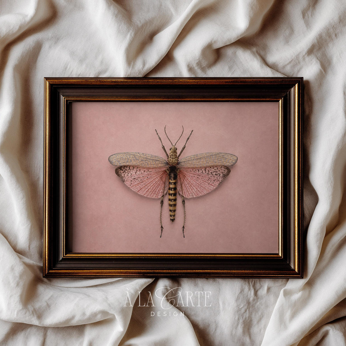 Entomology poster digital print for gallery wall — romantic Victorian-inspired scientific illustration