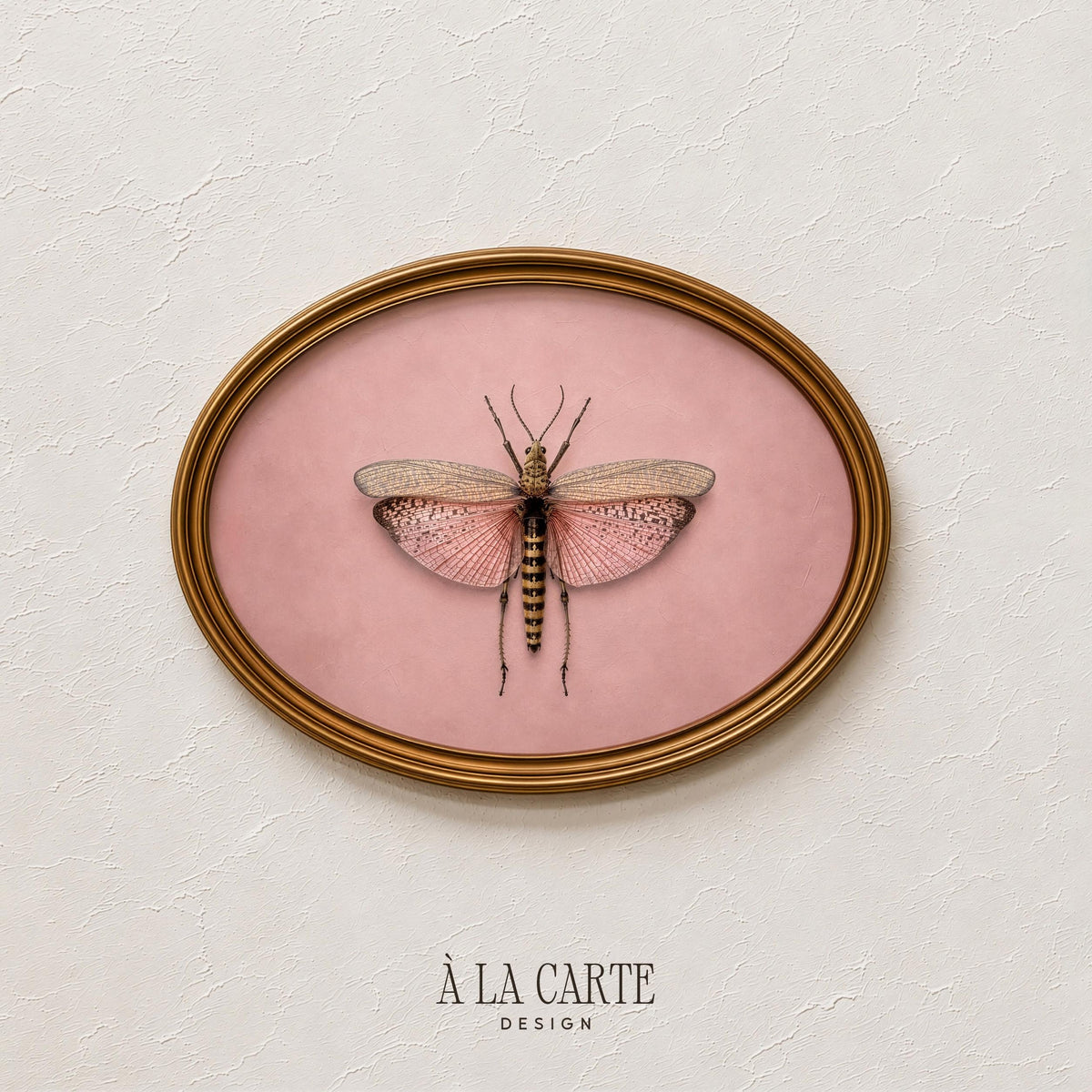 Antique Butterfly Wall Art, Muted Pink Moth, Vintage Butterfly Printable, Bug Painting, Insect Art, Victorian Decor, Cottagecore Wall Art207