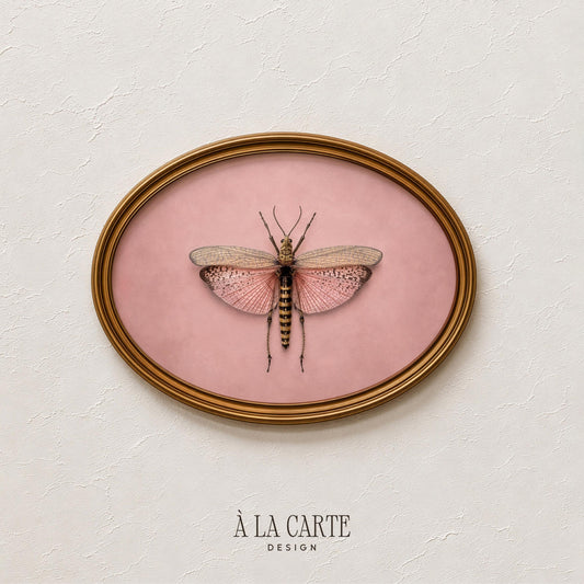 Antique Butterfly Wall Art, Muted Pink Moth, Vintage Butterfly Printable, Bug Painting, Insect Art, Victorian Decor, Cottagecore Wall Art207