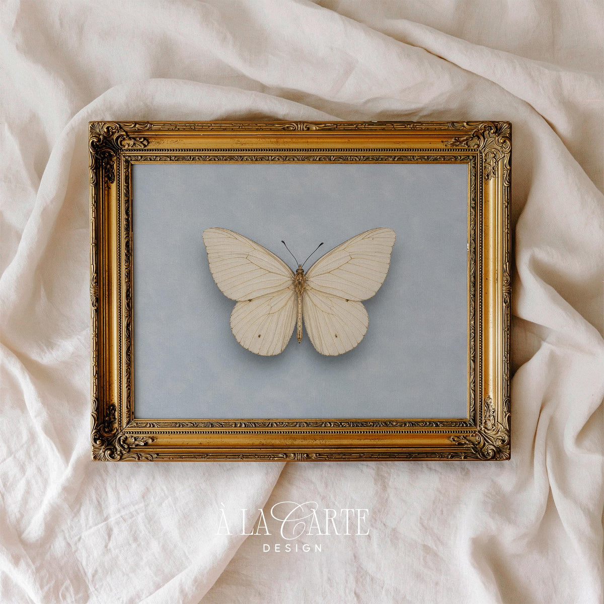 Neutral butterfly digital art for entryway — soft naturalist design with delicate linework and peaceful mood
