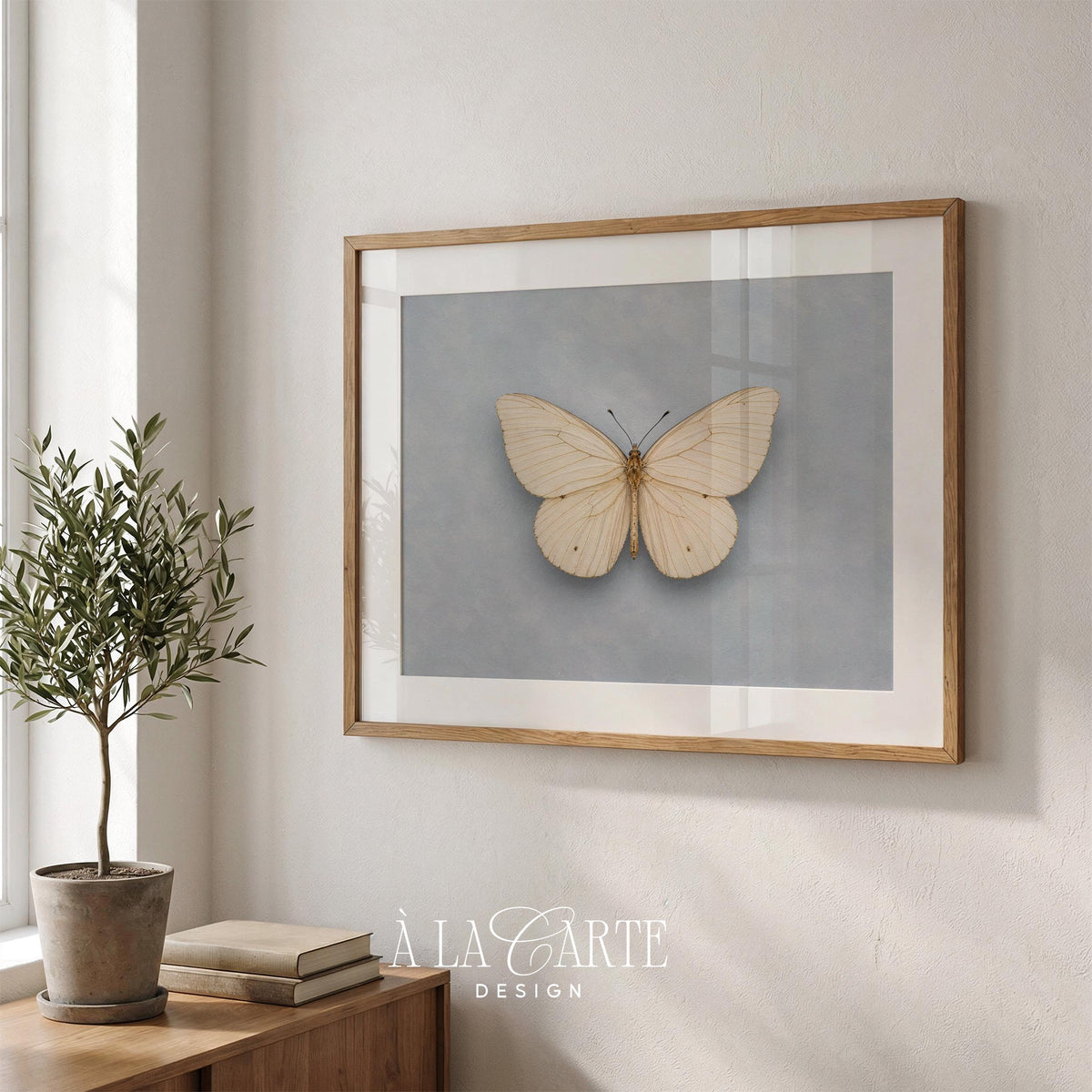 Antique specimen-style insect poster for bedroom — cream butterfly with faded blue background evoking old collections