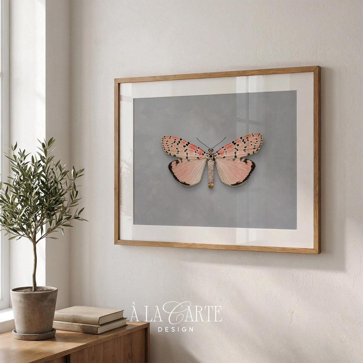 Feminine insect wall artwork — detailed specimen-style moth with cream, pink, and spotted markings on vintage textured paper tone