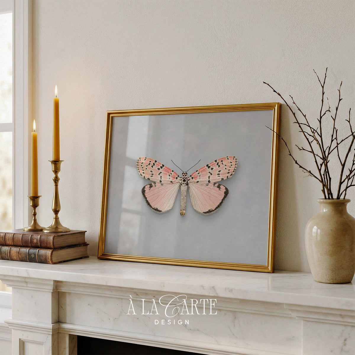 Heritage natural history poster printable — delicate lepidoptera illustration capturing soft elegance of antique scientific plate design