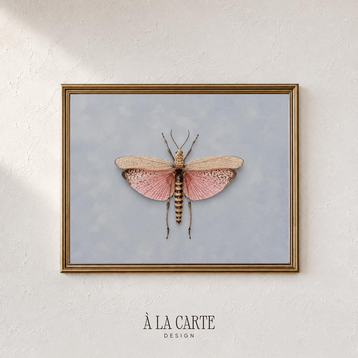 Classic naturalist butterfly digital art for gallery wall — soft palette with detailed scientific aesthetic