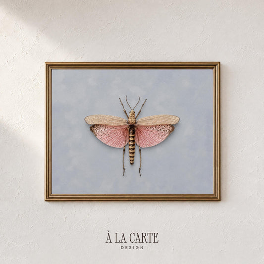 Classic naturalist butterfly digital art for gallery wall — soft palette with detailed scientific aesthetic