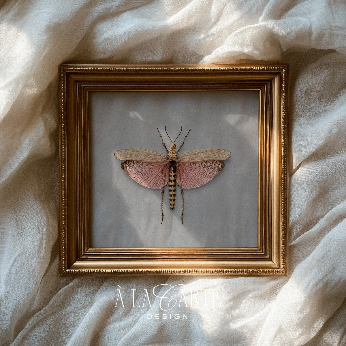Winged specimen digital print for gallery wall — vintage natural history style with intricate vein patterns