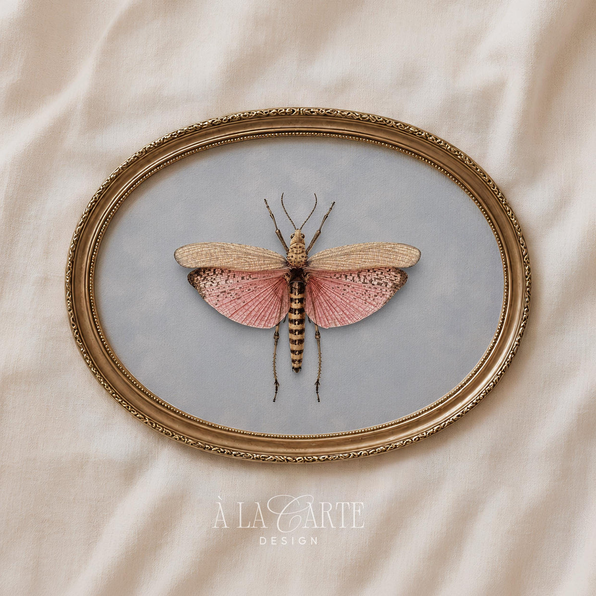Scientific illustration printable featuring winged insect — soft blue-gray background with ornate detail