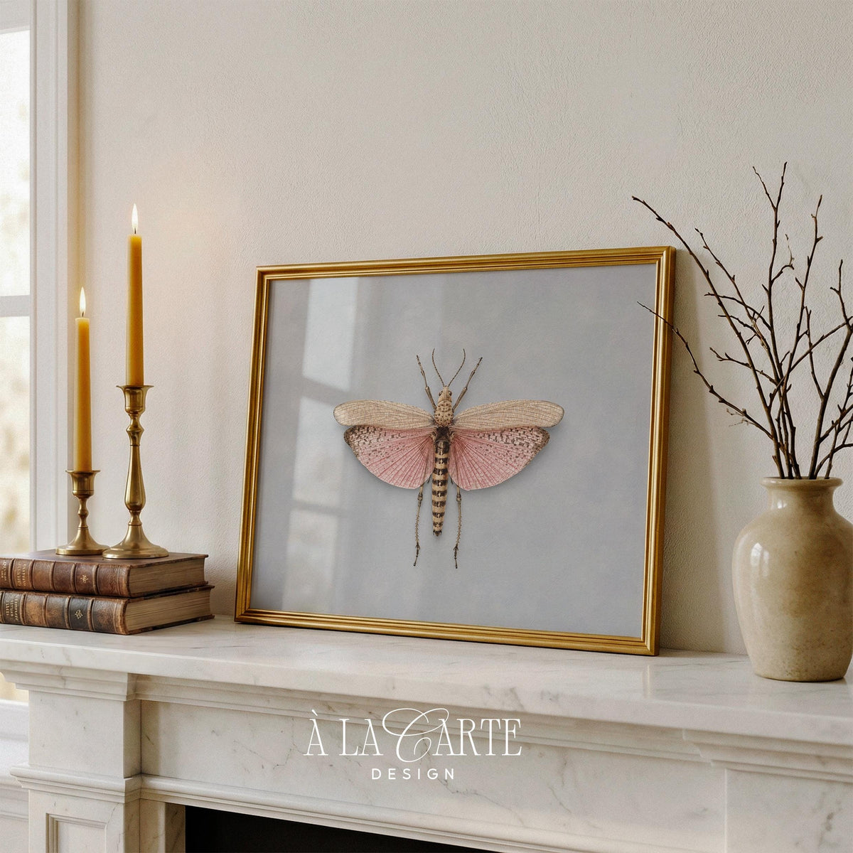 Botanical butterfly artwork printable for office — elegant naturalist study with segmented body and antennae