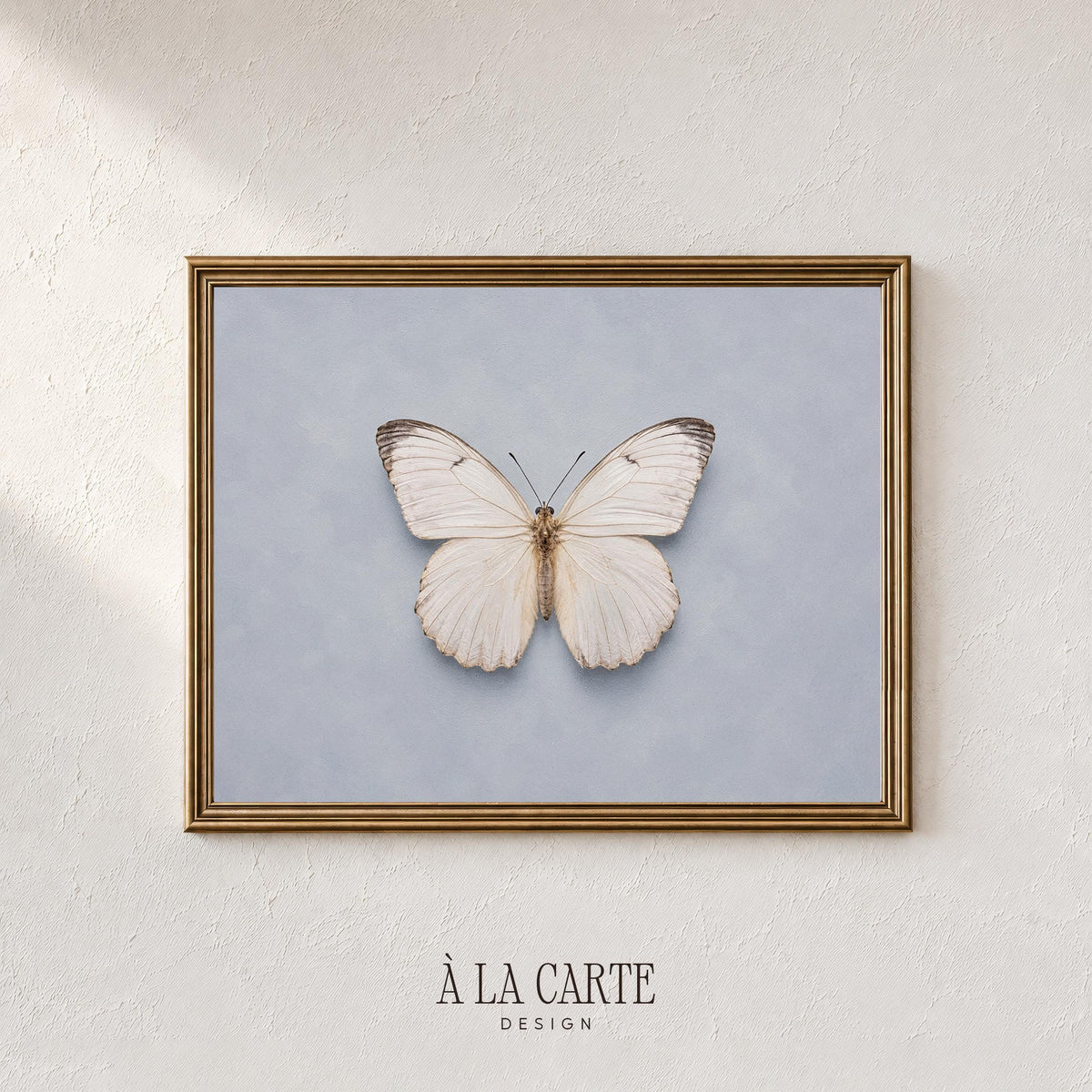 Pale winged insect wall decor for bedroom — vintage-inspired with antique canvas aesthetic