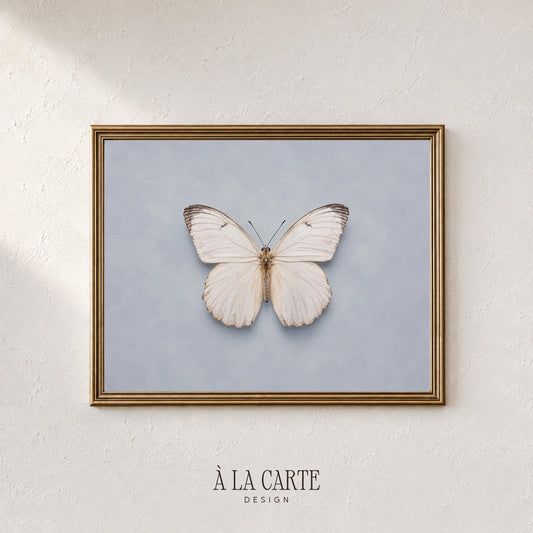 Pale winged insect wall decor for bedroom — vintage-inspired with antique canvas aesthetic