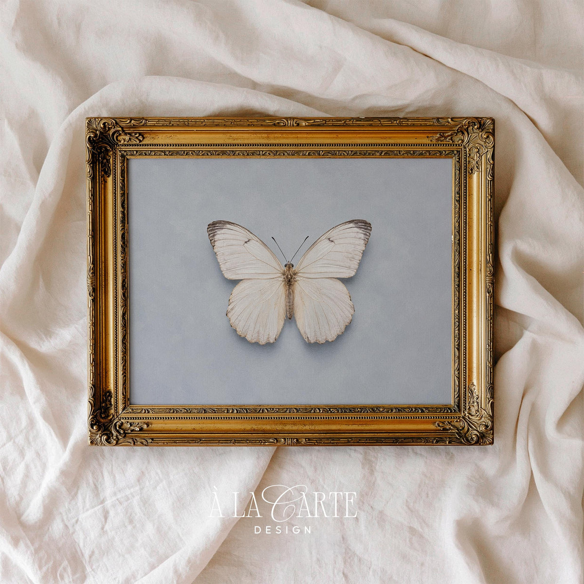 Cottagecore butterfly artwork instant download — soft-shaded wings on dusty blue backdrop