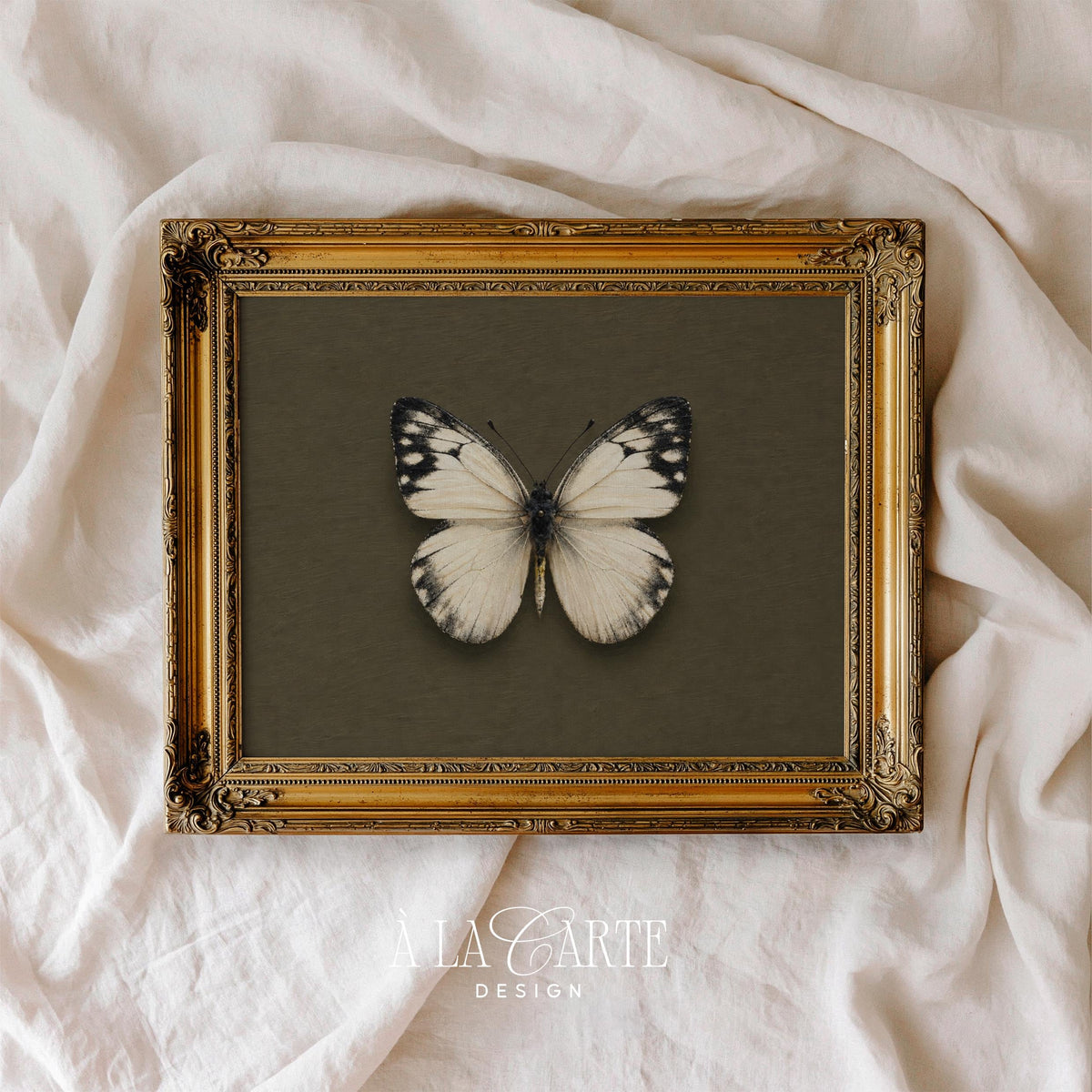 Curiosity cabinet insect print for study — vintage-inspired butterfly illustration evoking antique natural philosophy and refined taste