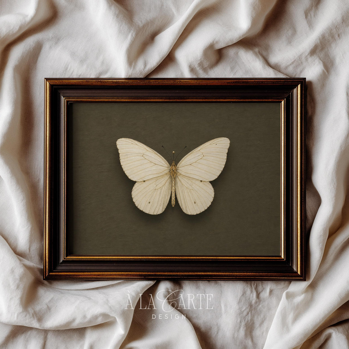 Antique butterfly digital picture for farmhouse — rustic natural history aesthetic on textured green backdrop