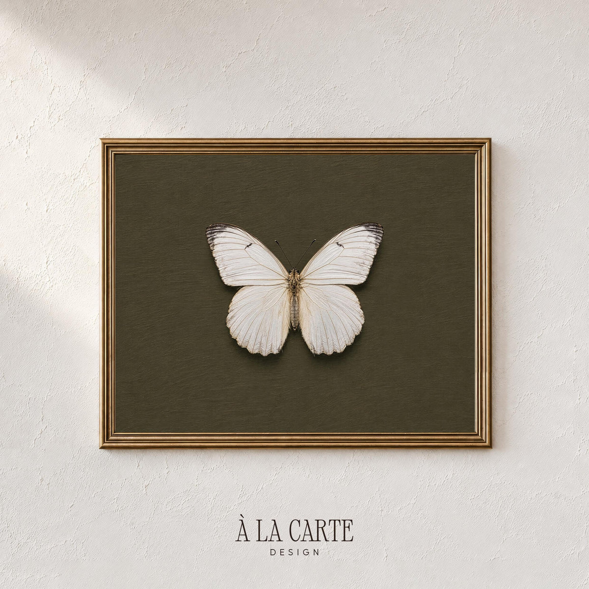 White butterfly printable art for bedroom — vintage specimen illustration on deep olive background