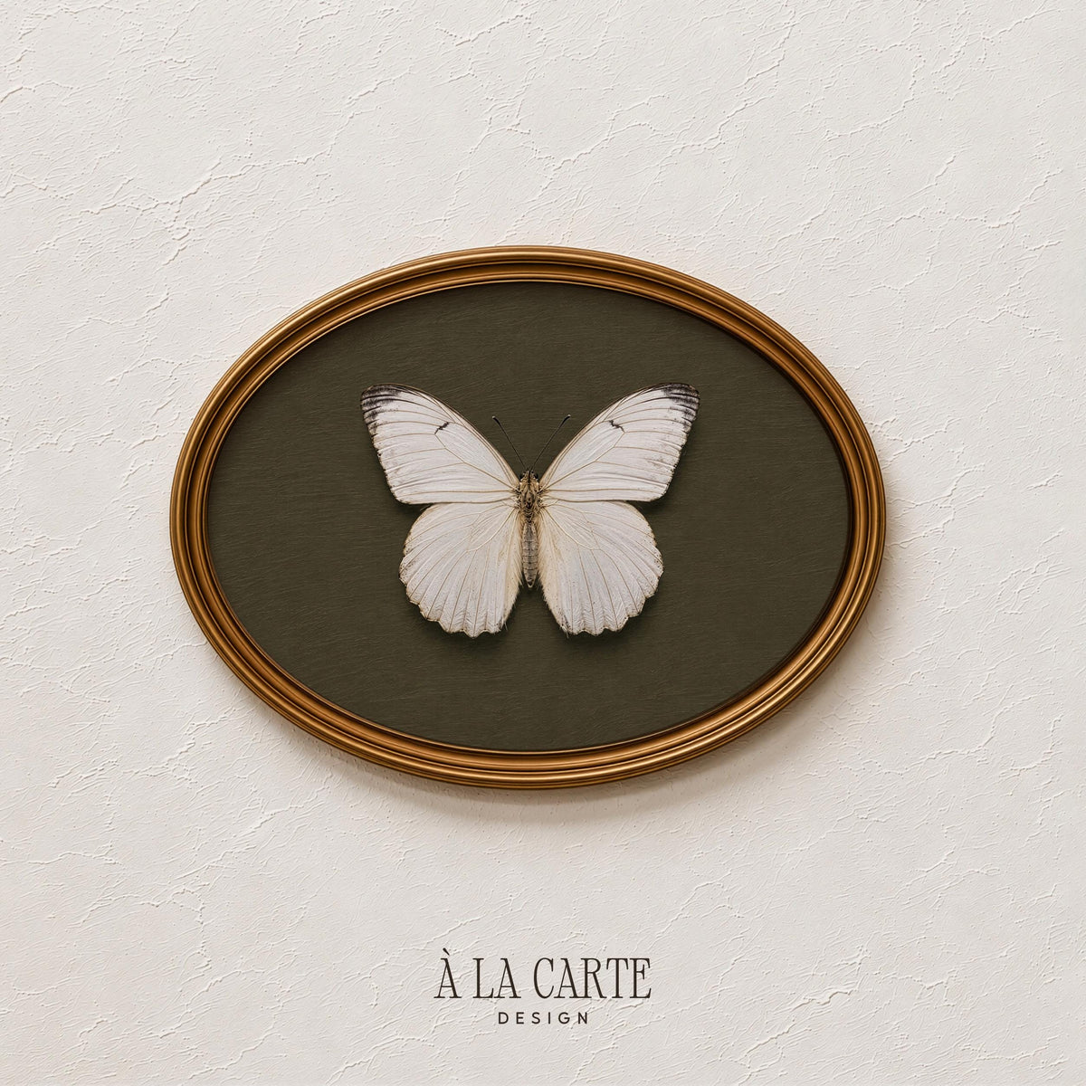 Antique cabinet butterfly artwork digital print for study — cottagecore nature design with elegant muted tones