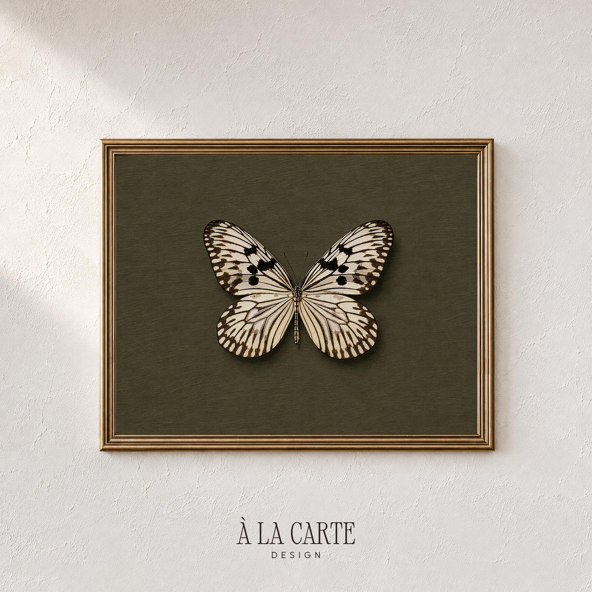 Delicate-winged insect printable artwork — vintage cabinet curiosity style with cream markings and refined specimen presentation