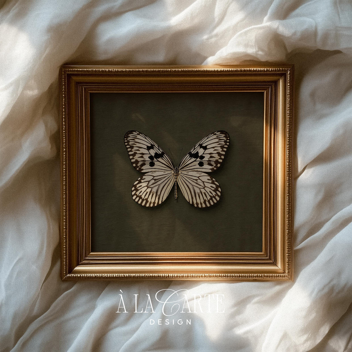 Refined butterfly wall picture instant download — vintage-inspired naturalism with cream and black winged detail on textured backdrop