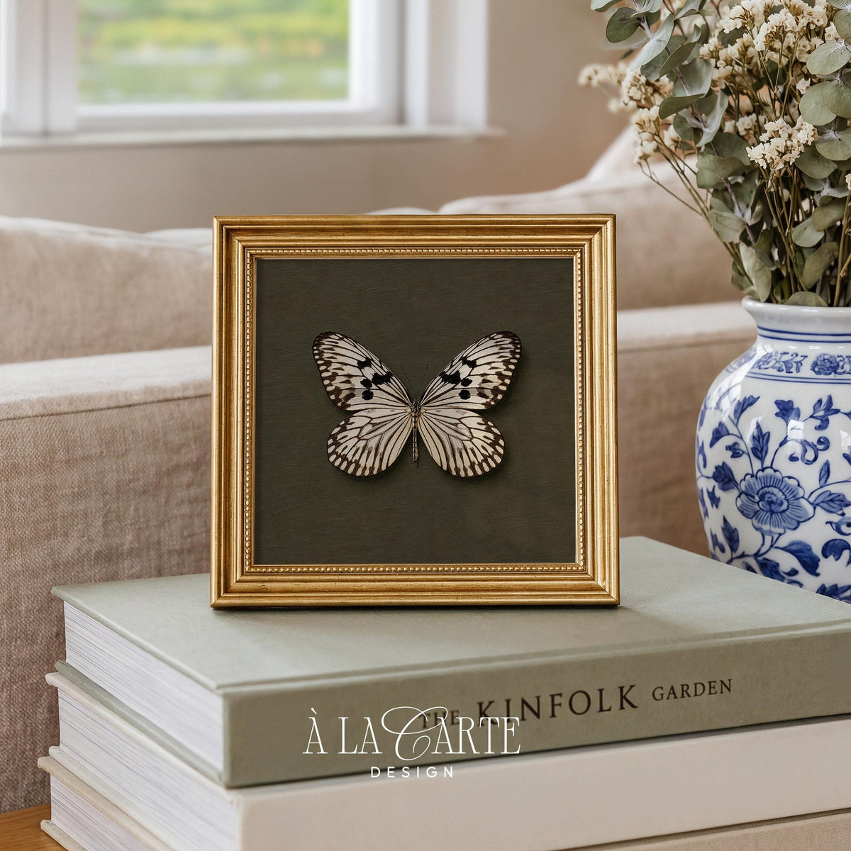Vintage insect poster with ivory-winged butterfly design — refined museum-quality print for collectors and nature lovers