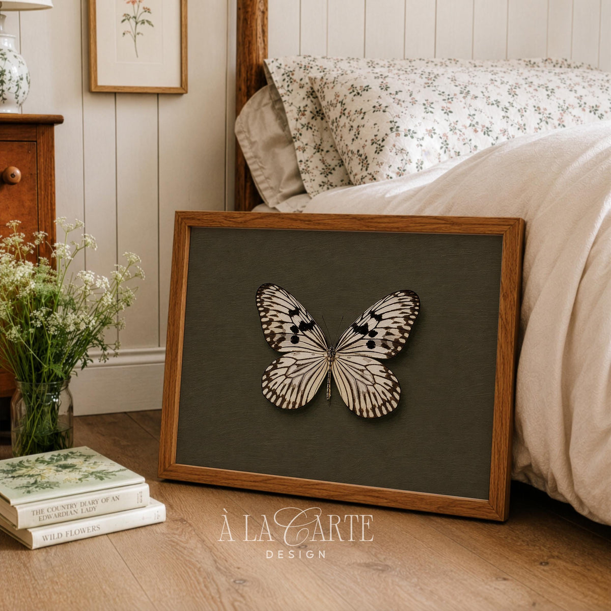 Botanical butterfly picture wall art for library — antique naturalist design with sophisticated olive-green framing