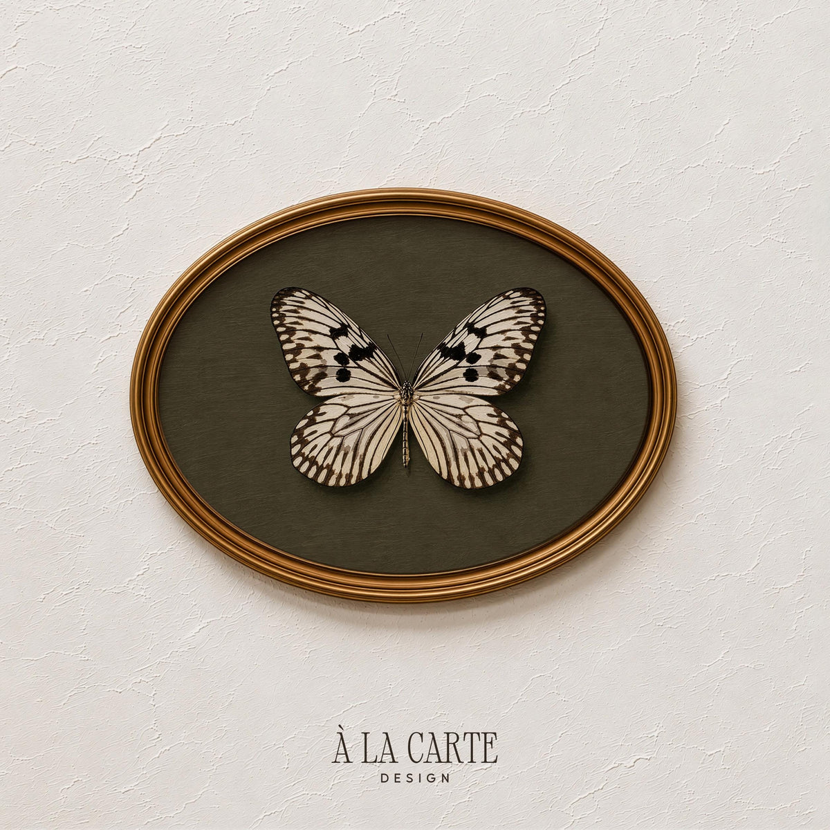 Winged insect painting print for bedroom — vintage entomology aesthetic with textured olive backdrop and refined detail