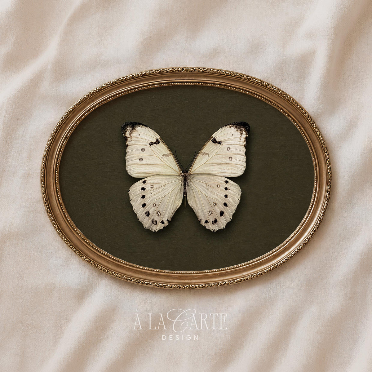 Butterfly illustration wall picture for living room — vintage botanical-inspired design with elegant minimalist composition