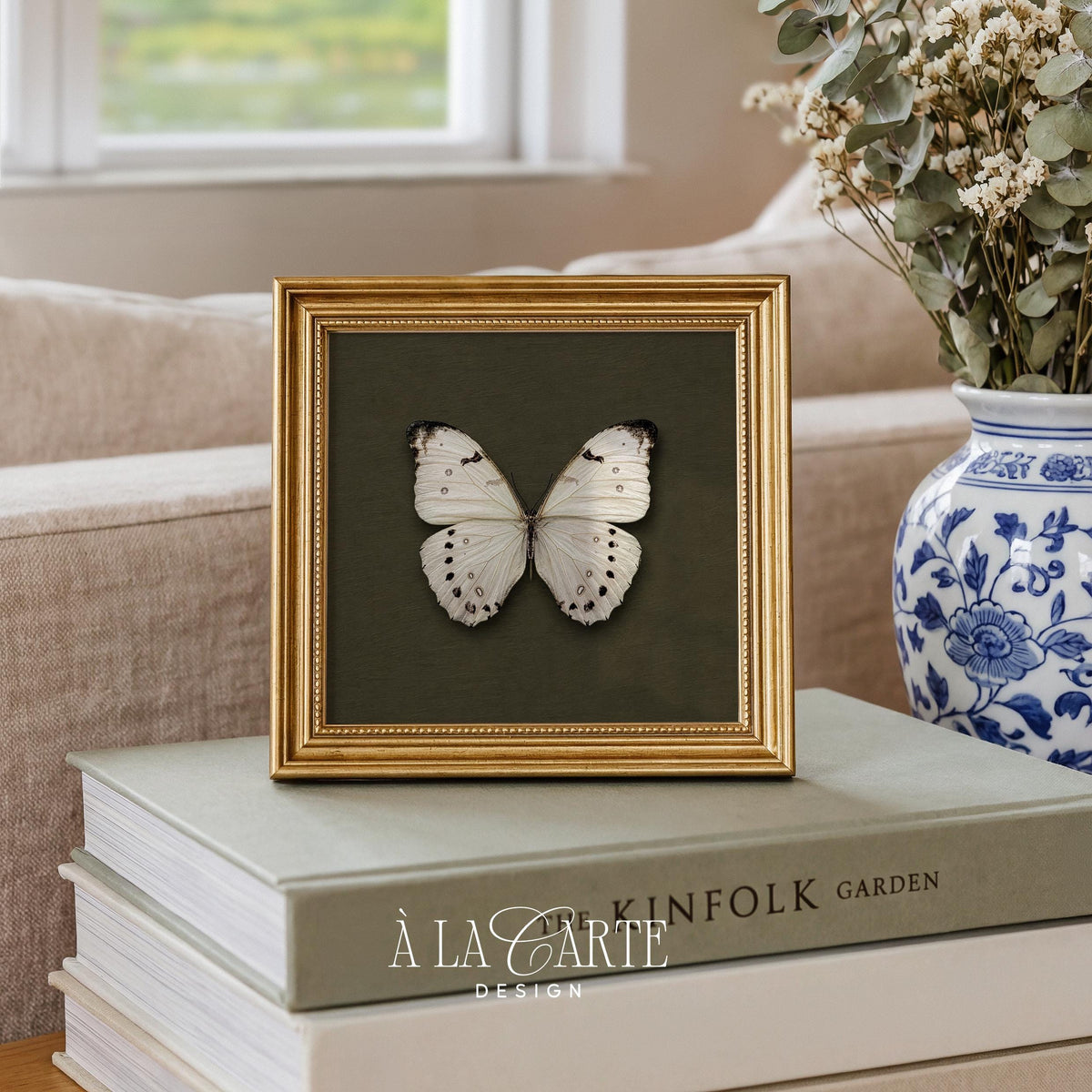 Butterfly gallery wall art instant download — museum-quality specimen illustration with refined naturalist sophistication