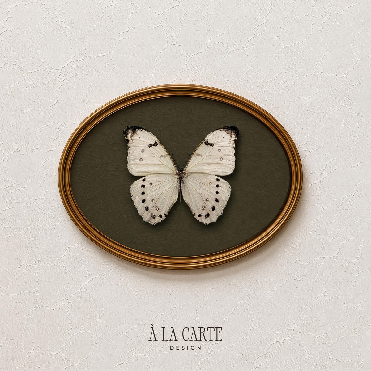 Vintage butterfly printable art for bedroom — cream insect specimen on olive-green background with naturalist aesthetic