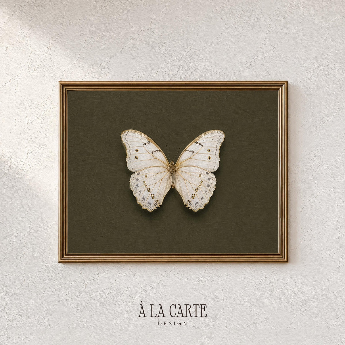 Antique specimen study digital print for gallery wall — detailed winged creature in neutral palette