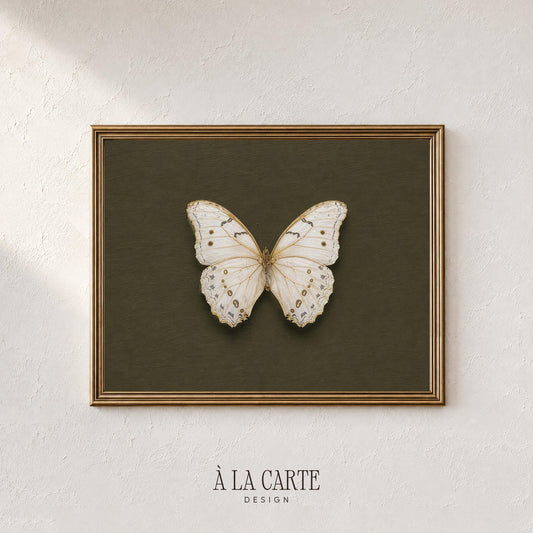 Antique specimen study digital print for gallery wall — detailed winged creature in neutral palette
