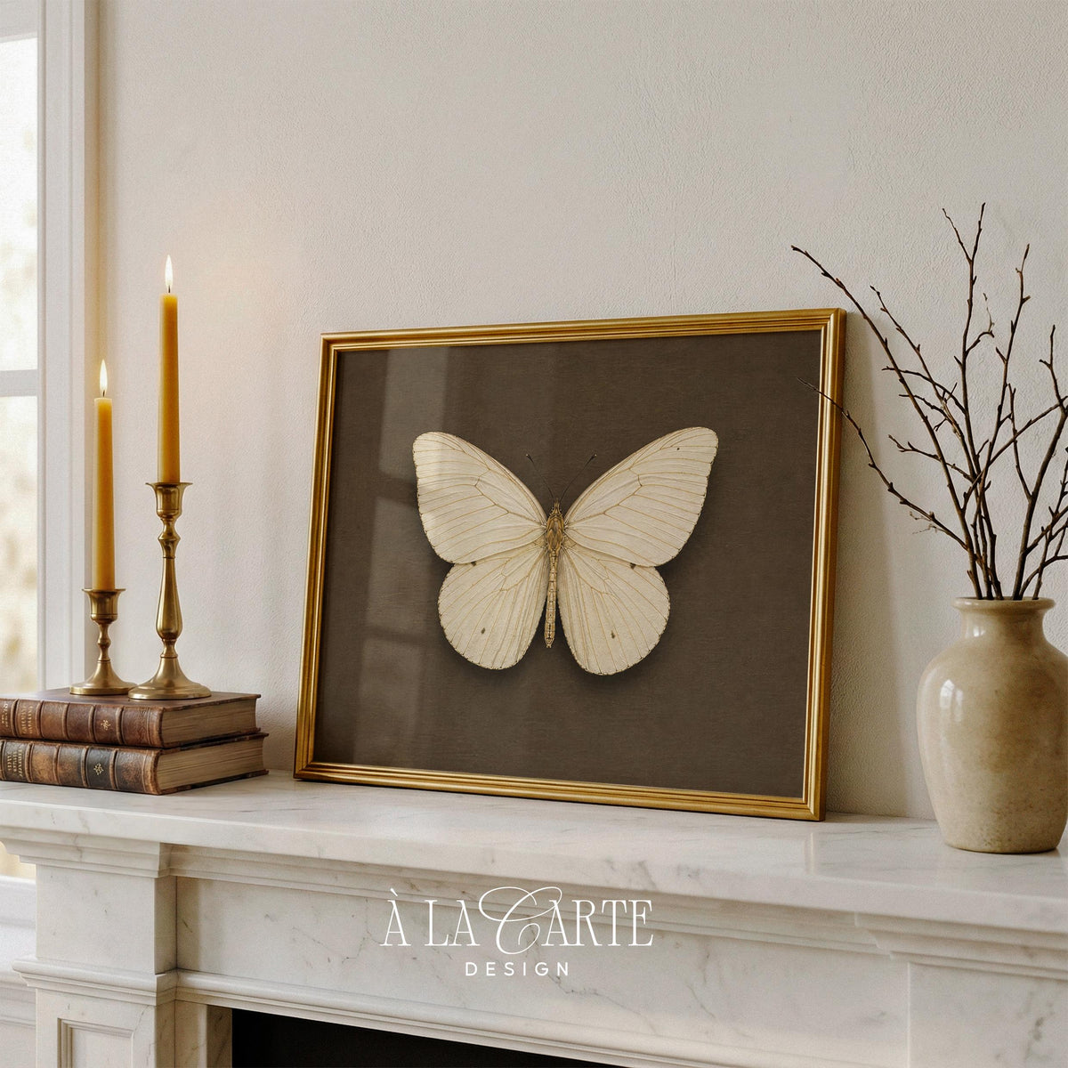 Cream butterfly printable art for study — vintage naturalist illustration with deep brown museum backdrop
