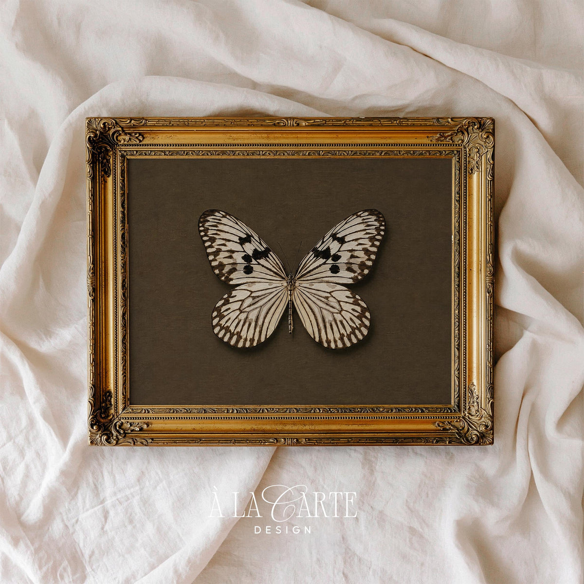 Vintage insect painting digital download — moody brown tones with detailed scientific illustration