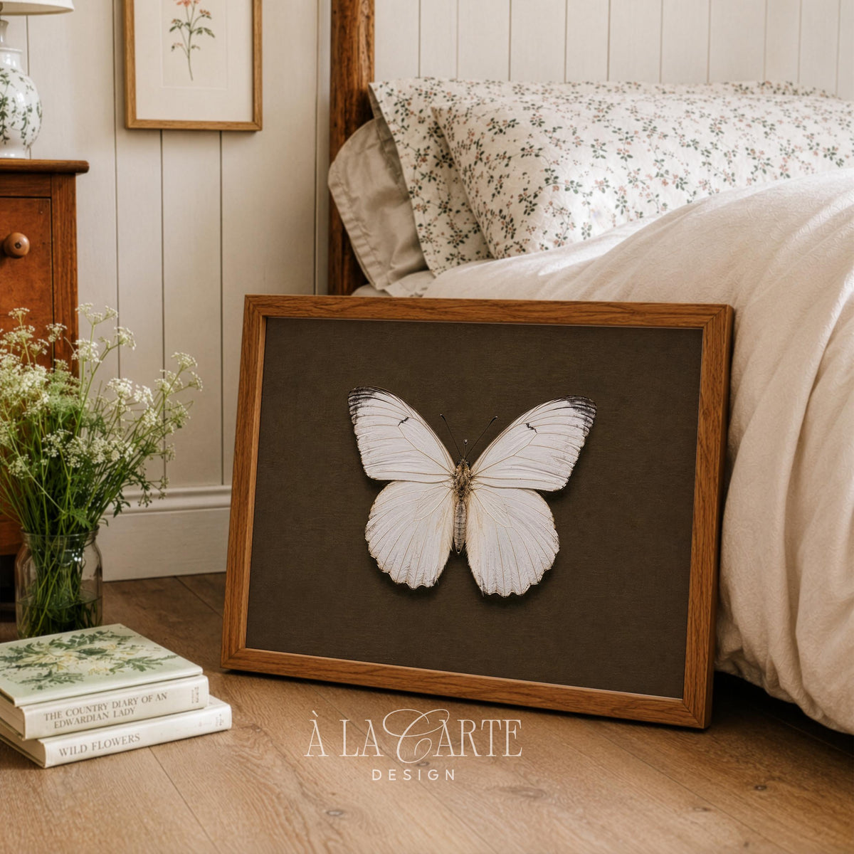 Pale moth illustration picture for gallery wall — cottagecore vintage decor with fine linework and specimen display aesthetic