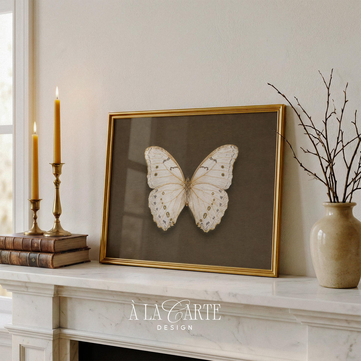 Classic naturalist butterfly wall image — heritage specimen print with warm earthy backdrop